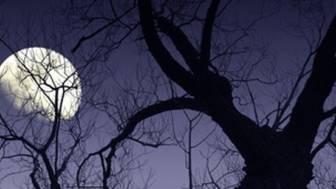 Mondkalender - Mythos und Magie