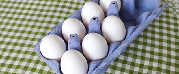 Vollwertiger Ei-Ersatz für Veganer